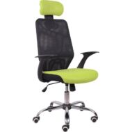 T-Irodai szék, zöld/fekete, REYES